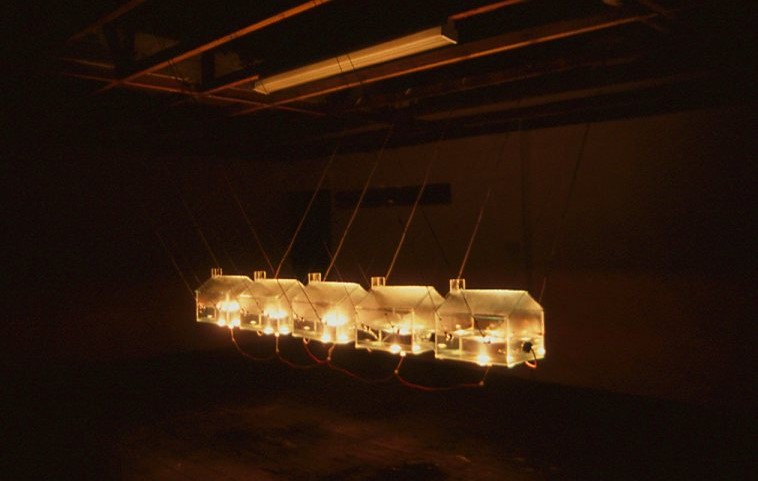 Newton's Cradle 2002