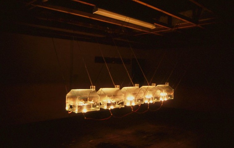 Newton's Cradle 2002