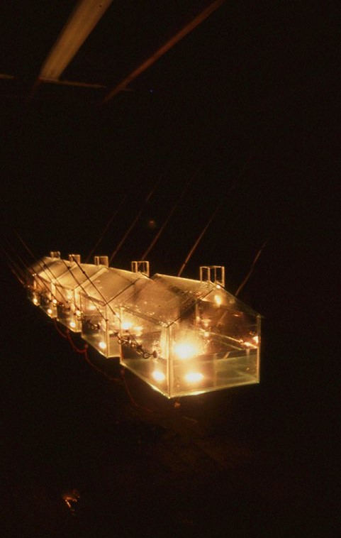 Newton's Cradle 2002