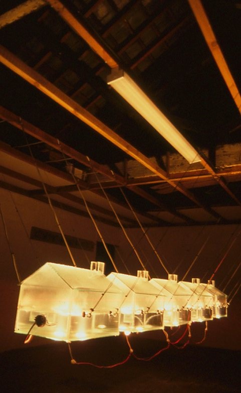 Newton's Cradle 2002