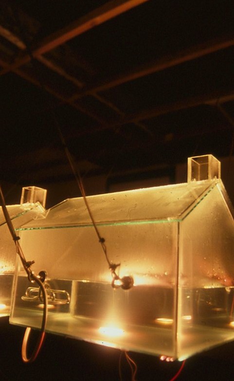 Newton's Cradle 2002