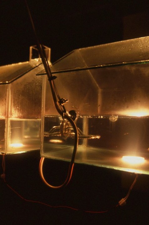 Newton's Cradle 2002