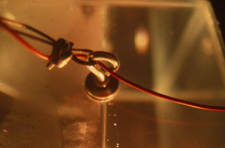 Newton's Cradle 2002